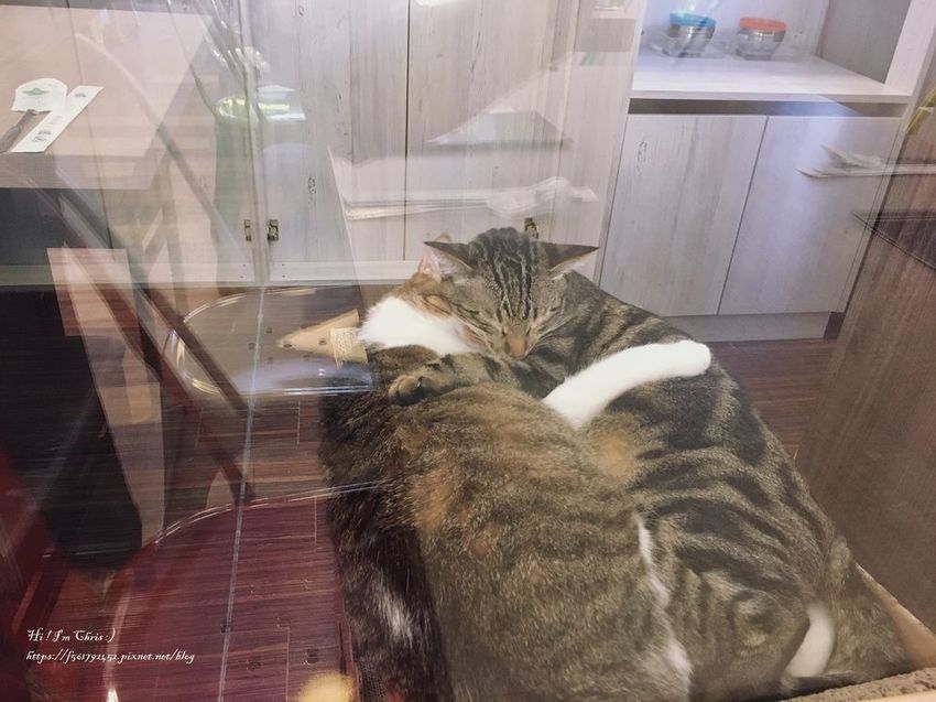 台北韓式料理安妞韓館 (8).jpeg