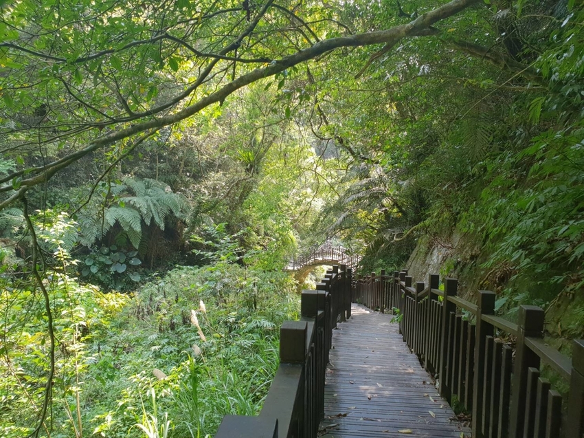 【新竹.尖石鄉】老鷹溪親子親水步道。平緩好走30分鐘可抵ˋ達瀑布。享受森林芬多精的洗禮