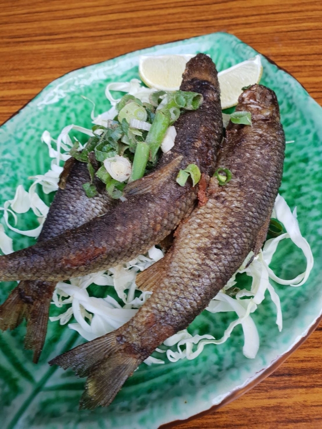 【新竹.尖石鄉】老鷹溪親子親水步道。平緩好走30分鐘可抵ˋ達瀑布。享受森林芬多精的洗禮