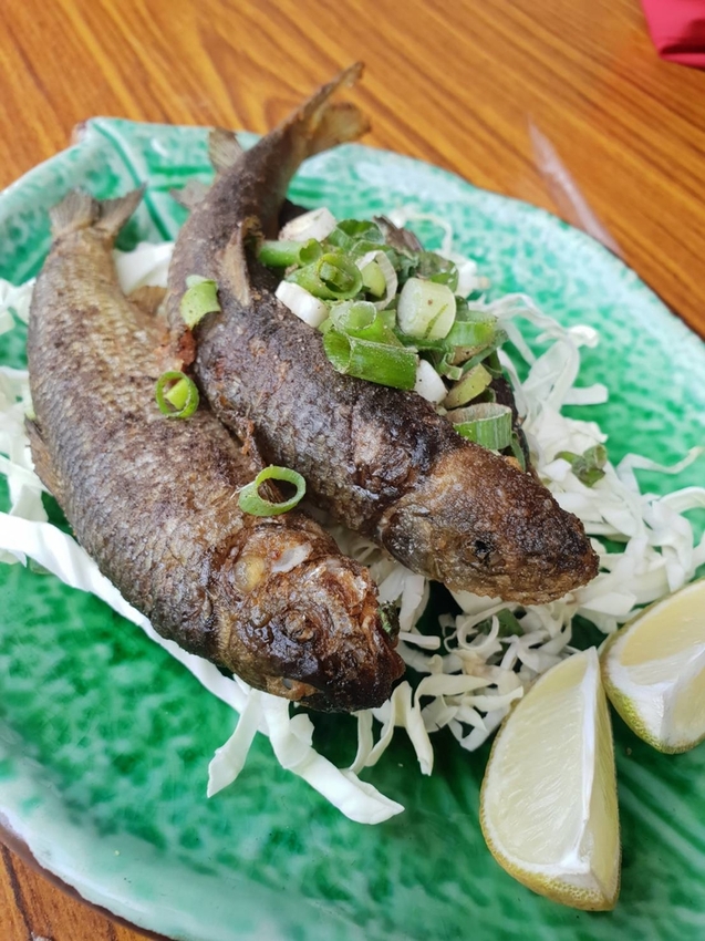 【新竹.尖石鄉】老鷹溪親子親水步道。平緩好走30分鐘可抵ˋ達瀑布。享受森林芬多精的洗禮