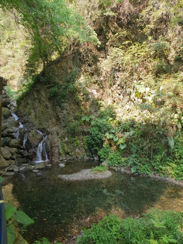 【新竹.尖石鄉】老鷹溪親子親水步道。平緩好走30分鐘可抵ˋ達瀑布。享受森林芬多精的洗禮