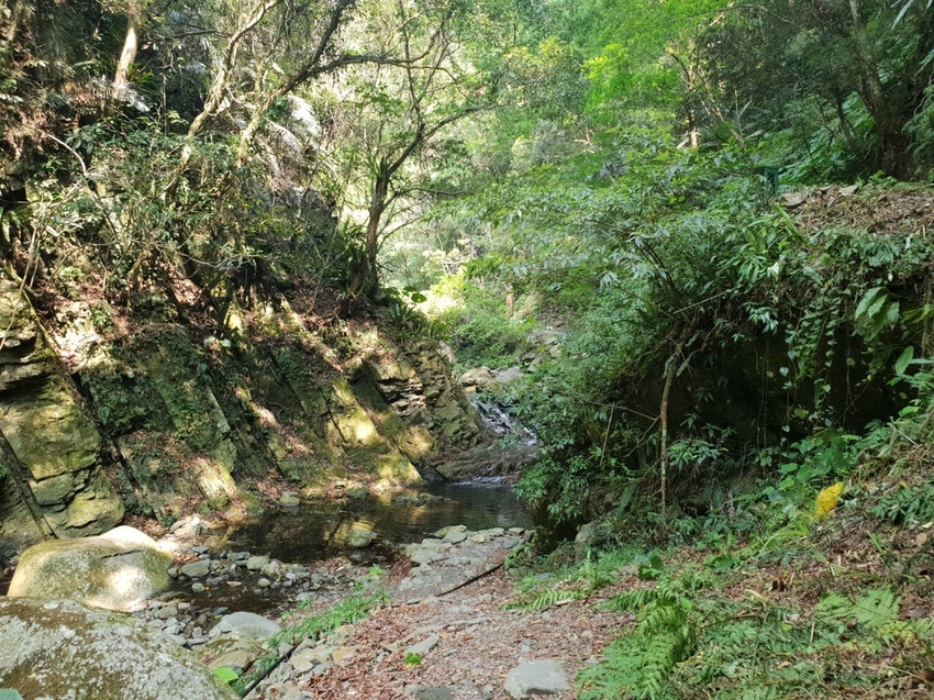 【新竹.尖石鄉】老鷹溪親子親水步道。平緩好走30分鐘可抵ˋ達瀑布。享受森林芬多精的洗禮