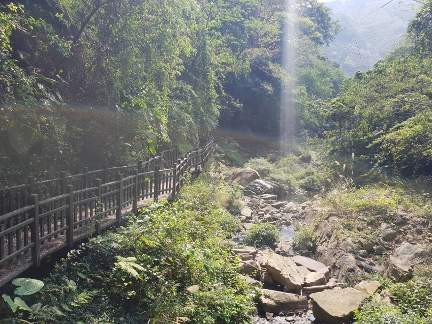 【新竹.尖石鄉】老鷹溪親子親水步道。平緩好走30分鐘可抵ˋ達瀑布。享受森林芬多精的洗禮