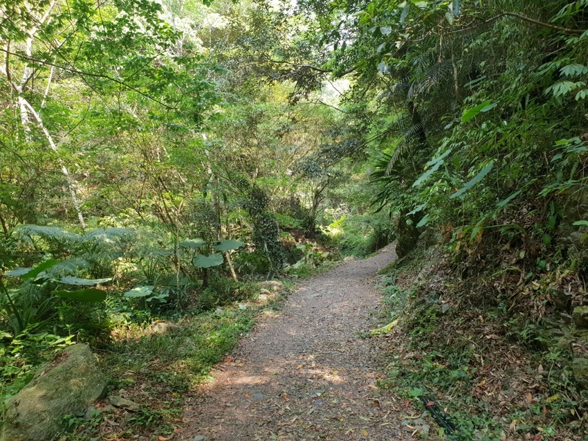 【新竹.尖石鄉】老鷹溪親子親水步道。平緩好走30分鐘可抵ˋ達瀑布。享受森林芬多精的洗禮