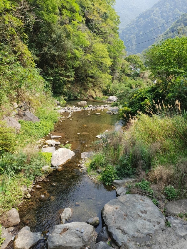 【新竹.尖石鄉】老鷹溪親子親水步道。平緩好走30分鐘可抵ˋ達瀑布。享受森林芬多精的洗禮