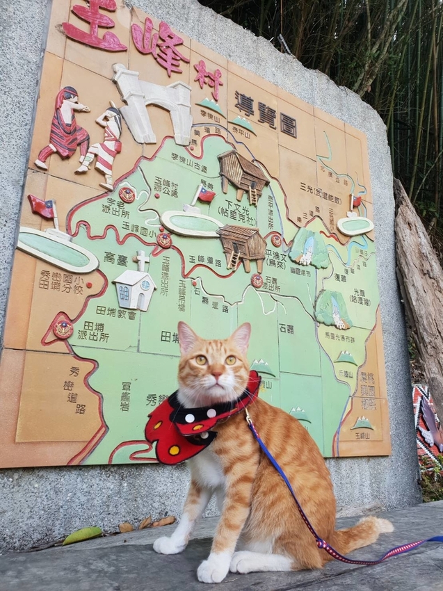 【新竹.尖石鄉】老鷹溪親子親水步道。平緩好走30分鐘可抵ˋ達瀑布。享受森林芬多精的洗禮