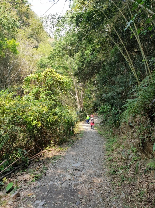 【新竹.尖石鄉】老鷹溪親子親水步道。平緩好走30分鐘可抵ˋ達瀑布。享受森林芬多精的洗禮