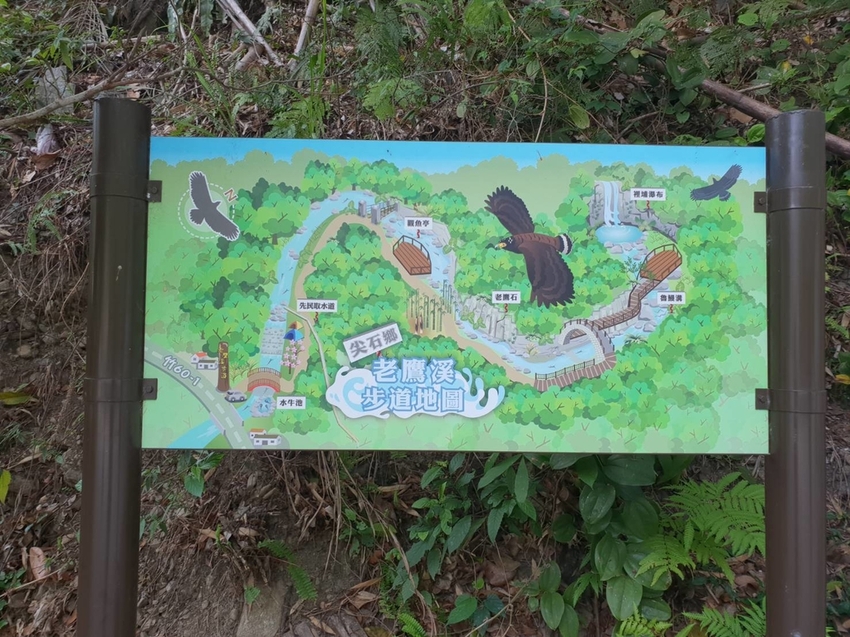 【新竹.尖石鄉】老鷹溪親子親水步道。平緩好走30分鐘可抵ˋ達瀑布。享受森林芬多精的洗禮