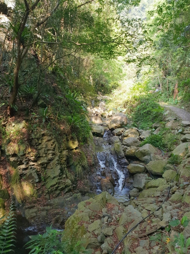 【新竹.尖石鄉】老鷹溪親子親水步道。平緩好走30分鐘可抵ˋ達瀑布。享受森林芬多精的洗禮