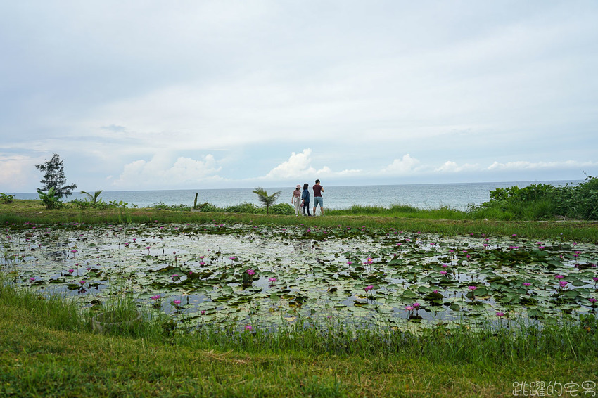 網美拍起來! 花蓮台11線最新看海咖啡廳 絕美海景 超可愛日式刨冰有夠好拍 浪花村 提供南洋料理、手沖咖啡