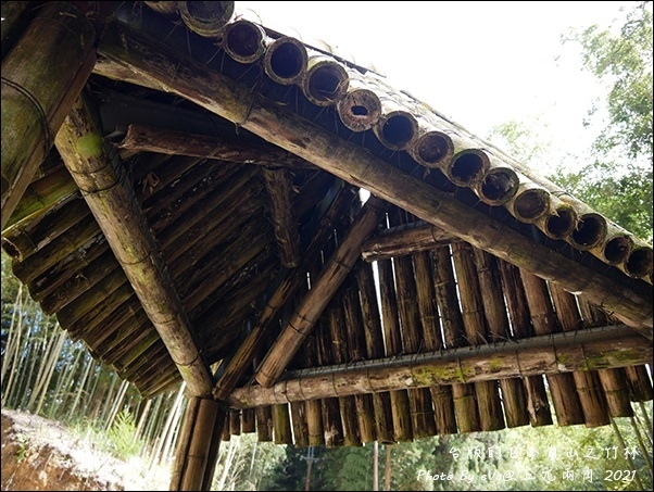 五元兩角-08.jpg 五元兩角-08.jpg