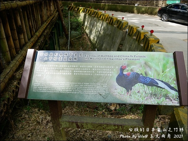 五元兩角-20.jpg 五元兩角-20.jpg