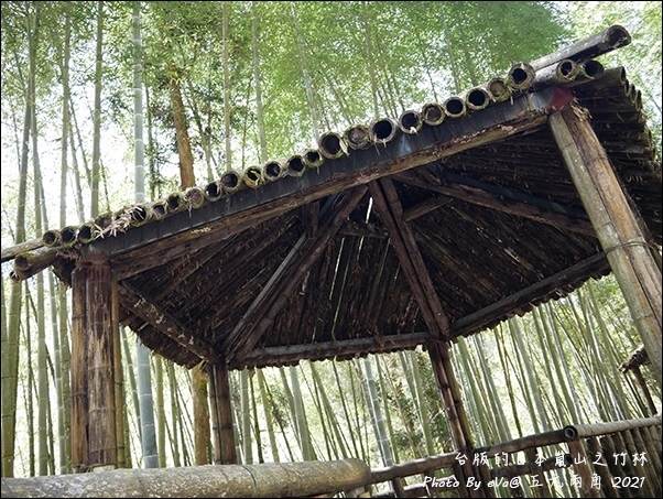 五元兩角-10.jpg 五元兩角-10.jpg