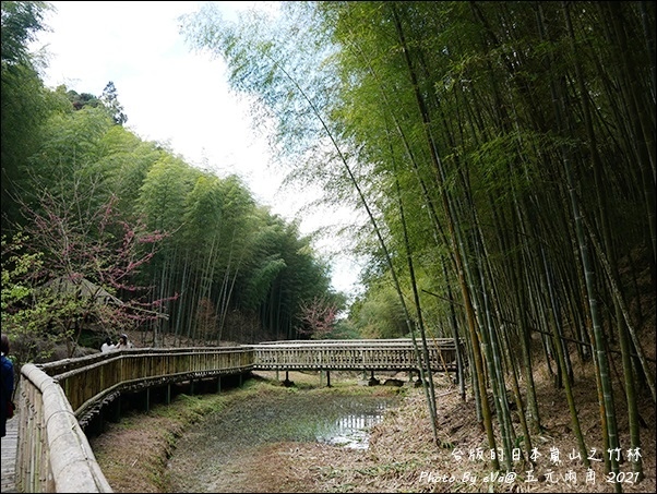 五元兩角-17.jpg 五元兩角-17.jpg