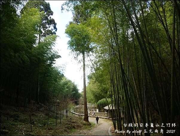 五元兩角-15.jpg 五元兩角-15.jpg