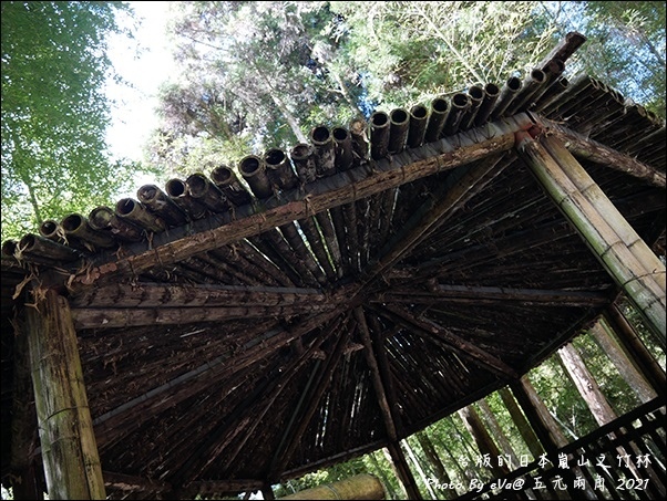 五元兩角-13.jpg 五元兩角-13.jpg