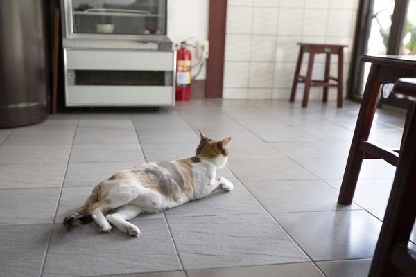 無一物海產粥 - 23