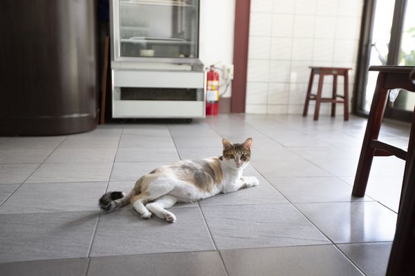 無一物海產粥 - 22