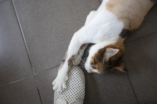 無一物海產粥 - 13