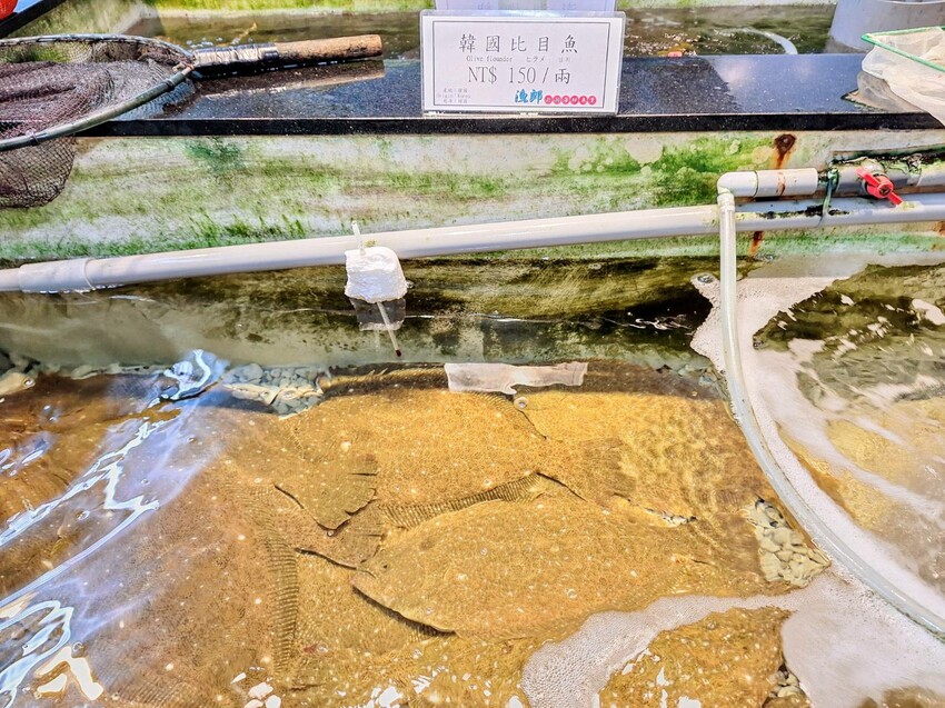 【美食】「韓國日出峯比目魚 x 海九澎湖海鮮餐廳」尚青呷澎湃