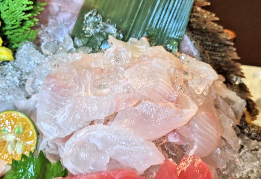 【美食】「韓國日出峯比目魚 x 海九澎湖海鮮餐廳」尚青呷澎湃