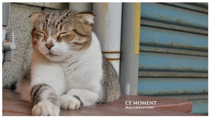 默默很甜cemoment-29