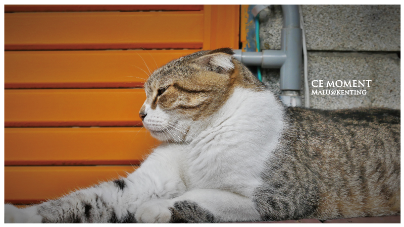 默默很甜cemoment-28