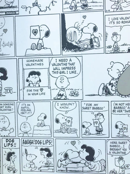 IMG_1223.JPG IMG_1223.JPG