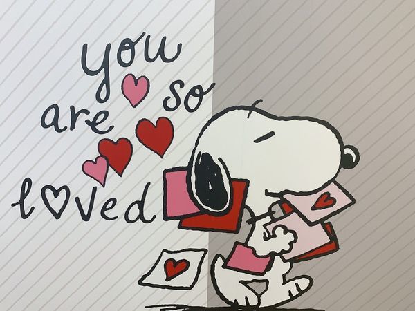 IMG_1268.JPG IMG_1268.JPG