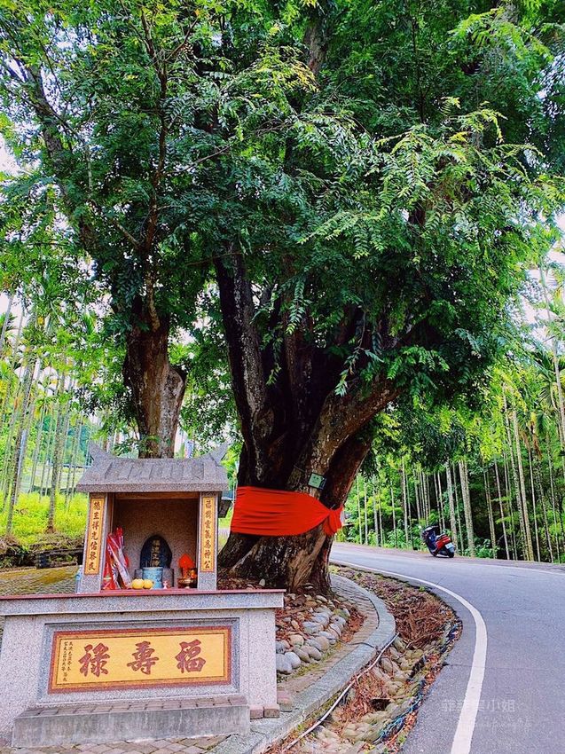 台中東勢 高接梨故鄉一日遊