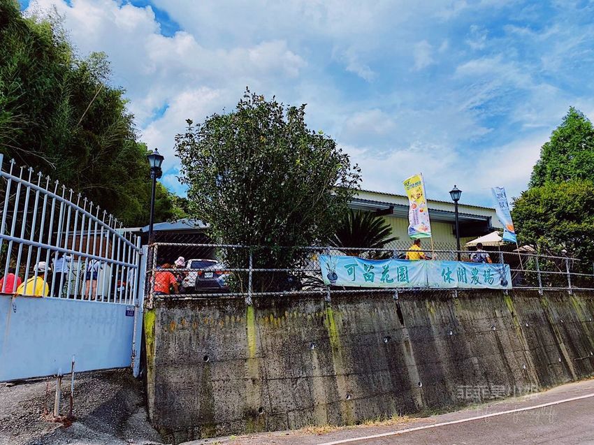 台中東勢 高接梨故鄉一日遊