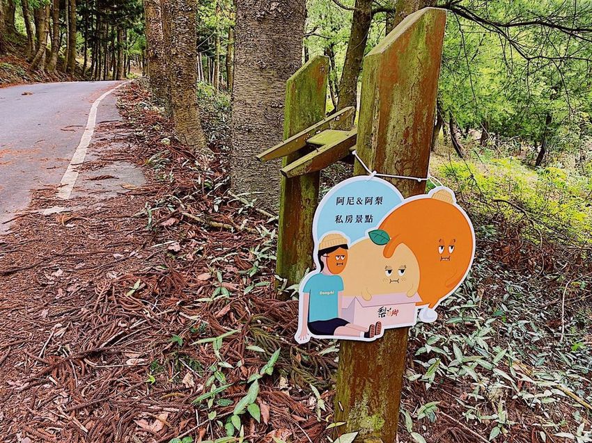 台中東勢 高接梨故鄉一日遊