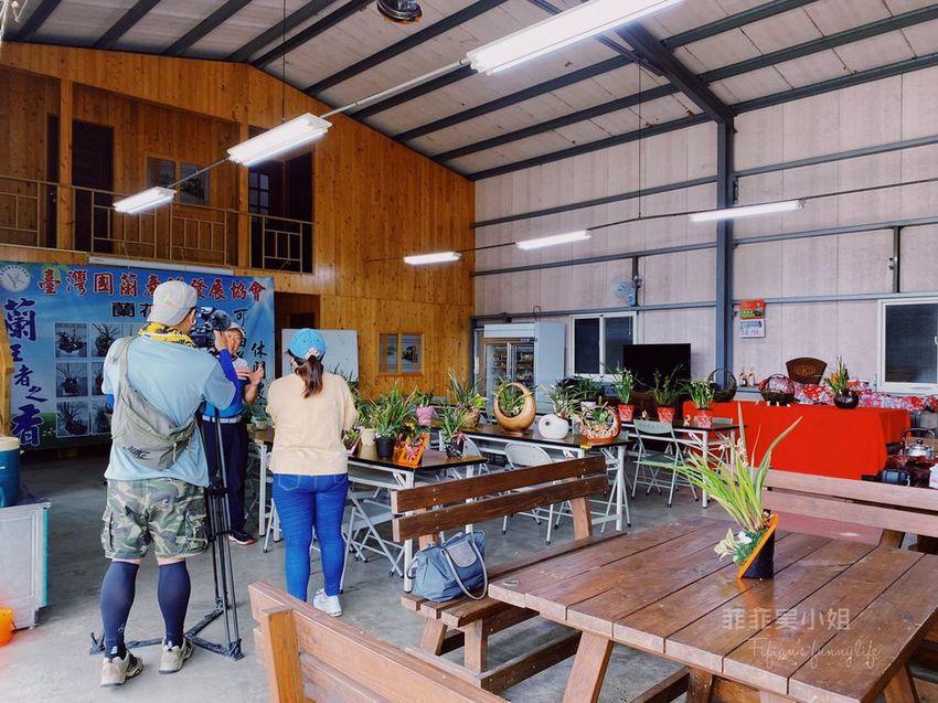 台中東勢 高接梨故鄉一日遊