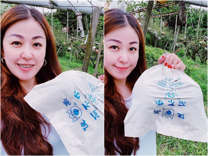 台中東勢 高接梨故鄉一日遊