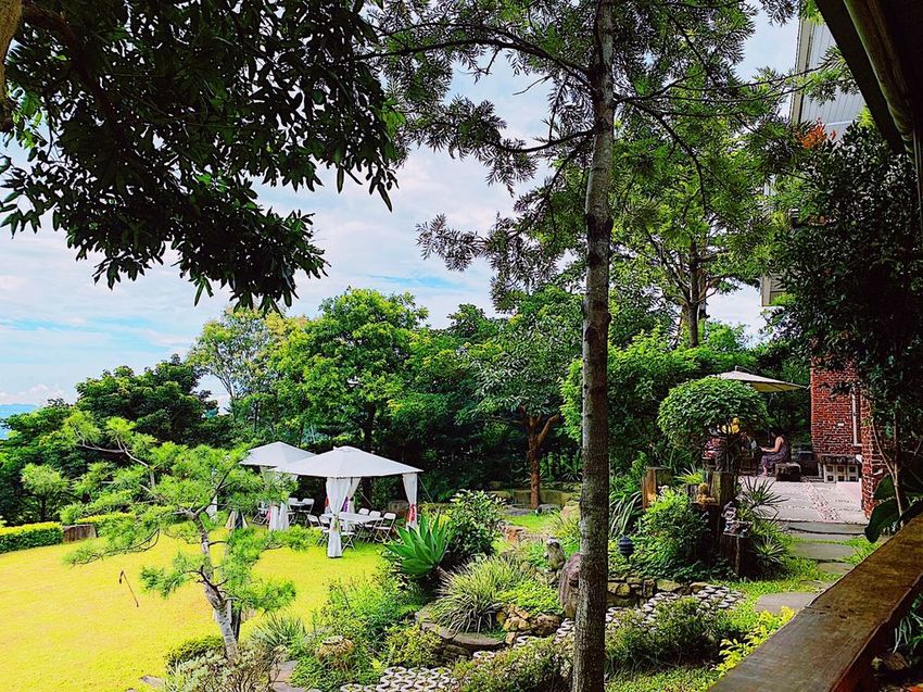 台中東勢 高接梨故鄉一日遊