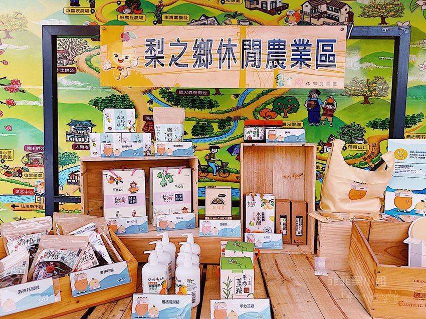 台中東勢 高接梨故鄉一日遊