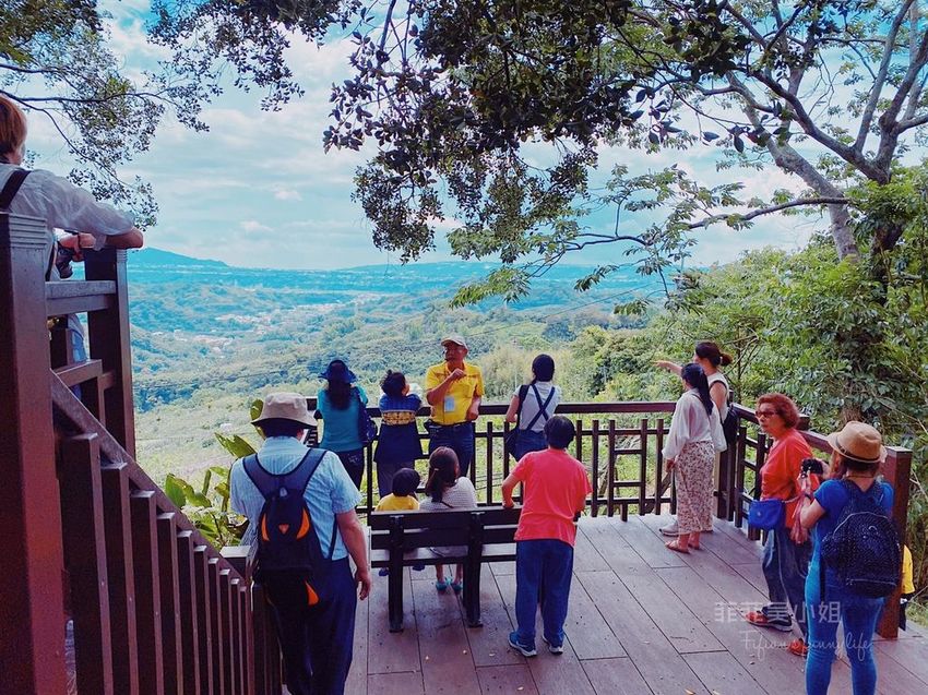台中東勢 高接梨故鄉一日遊