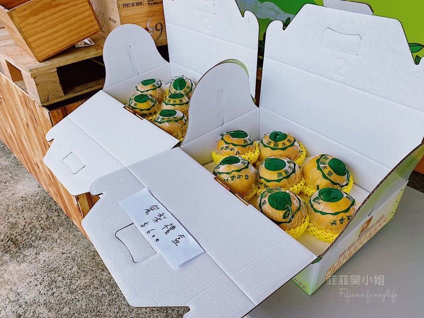 台中東勢 高接梨故鄉一日遊