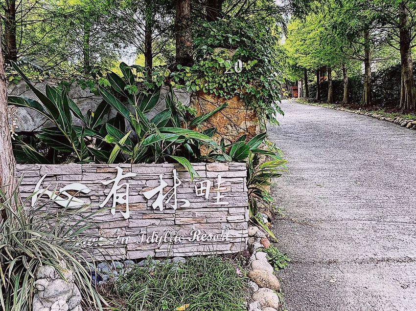 台中東勢 高接梨故鄉一日遊