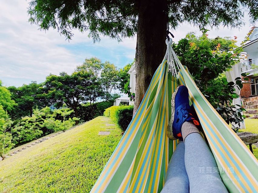 台中東勢 高接梨故鄉一日遊