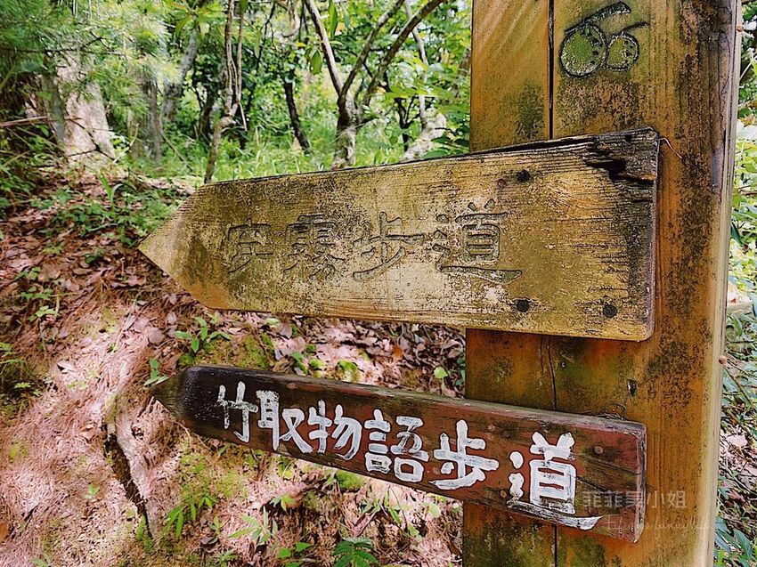 台中東勢 高接梨故鄉一日遊