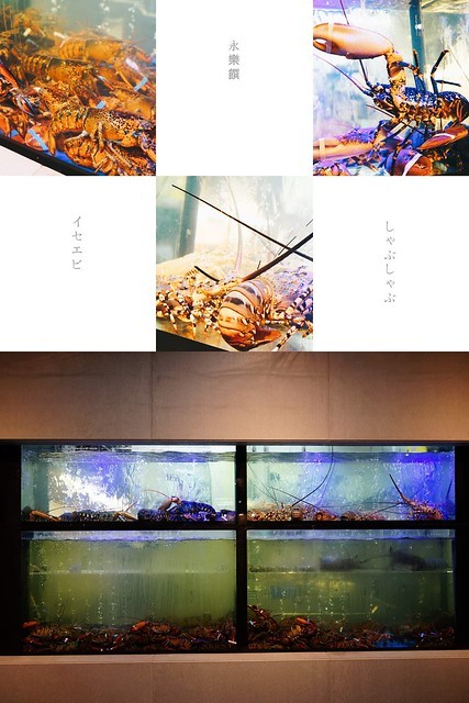 103514722_665722440948433_4194720728195197005_n