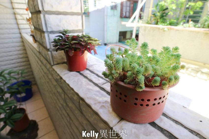 20200607-IMG_0918-1800.jpg 20200607-IMG_0918-1800.jpg