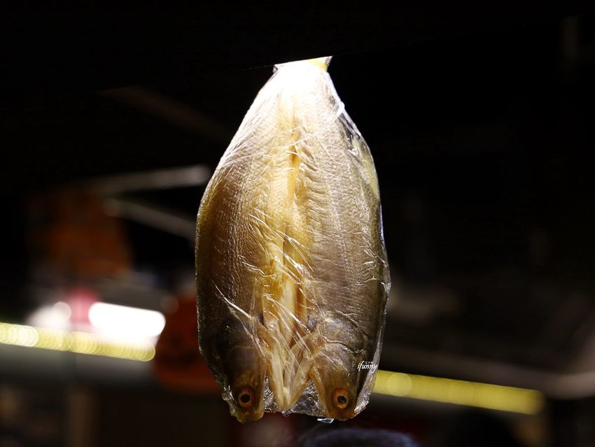 台北日本料理推薦_狸君