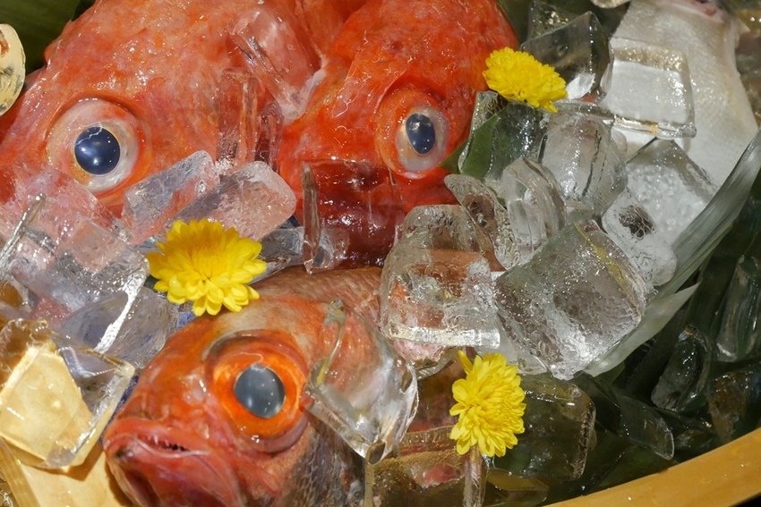 台北日本料理推薦_狸君