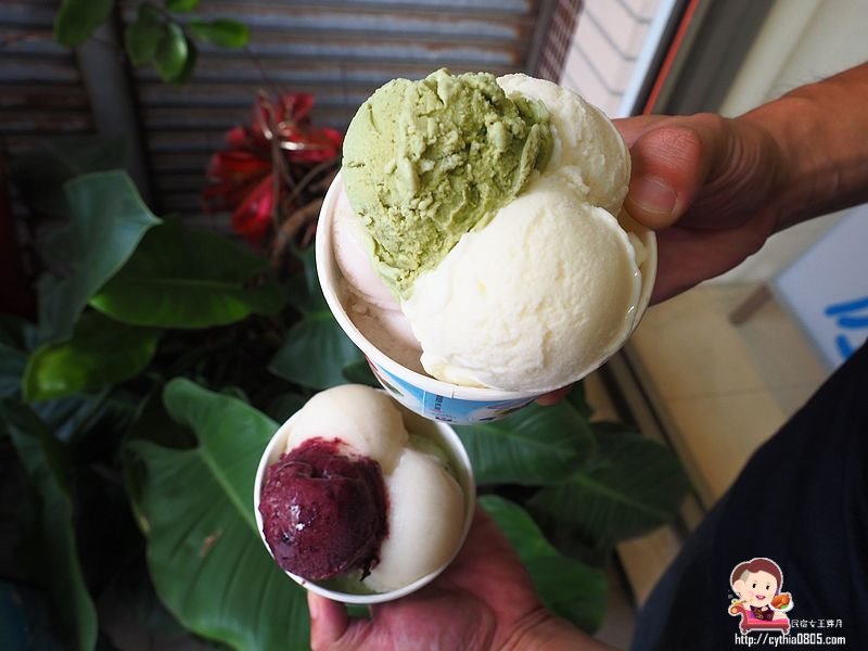 桃園平鎮美食-吉旺綿綿冰-很佛系營業的綿綿冰，6球45元到底是要賺什麼 @民宿女王芽月-美食.旅遊.全台趴趴走