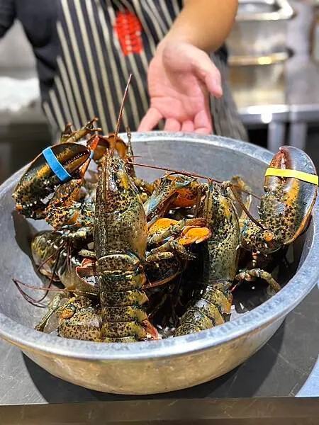 信義區隱藏版「曹料理」無菜單日料！海膽、龍蝦、和牛一次滿足。