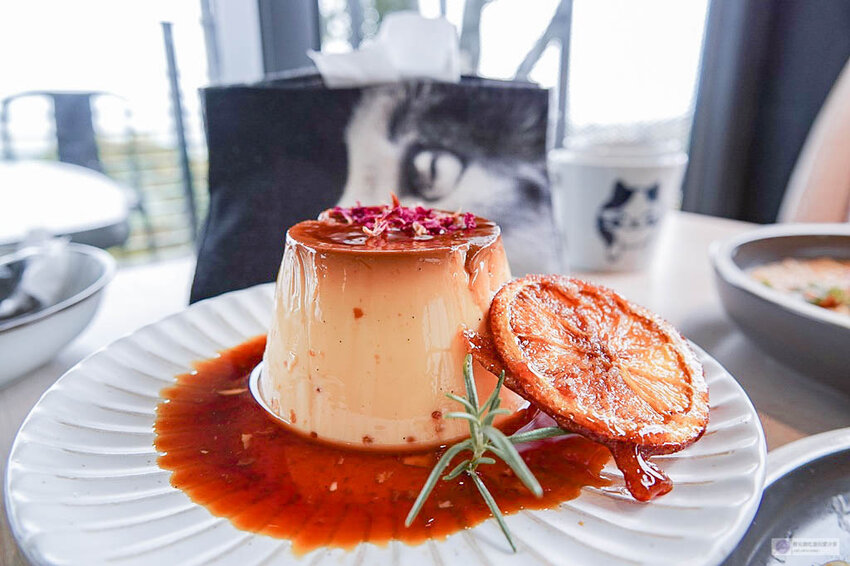 DSC07916.jpg DSC07916.jpg