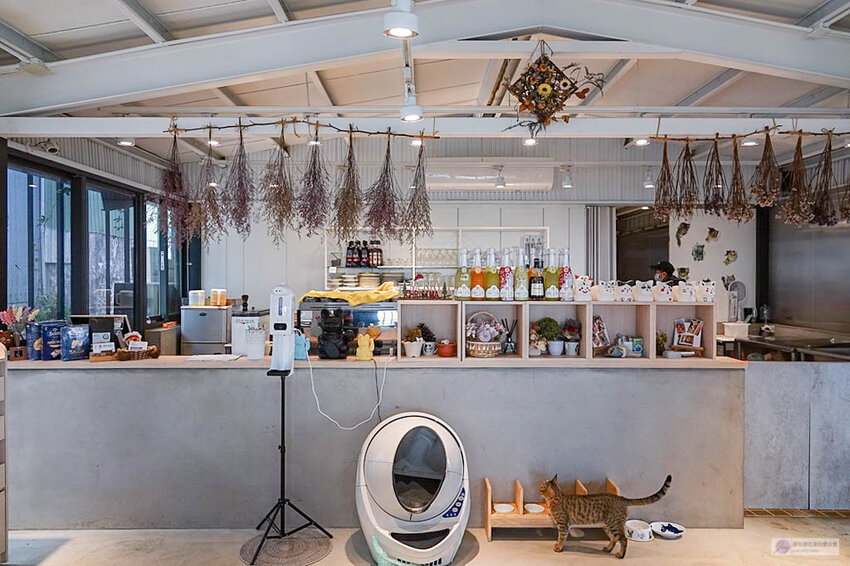 DSC07778.jpg DSC07778.jpg