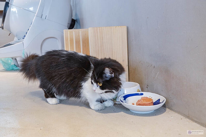 DSC07947.jpg DSC07947.jpg